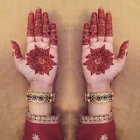 Amina Henna Instant Tatto Red Outline Mehndi / No Chemicals Dyes - Color Paste C (1 Box) Natural Mehendi-thumb1