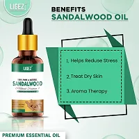 Ligez 100% Pure  Natural Sandalwood Essential Oil (10 ml)-thumb3