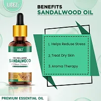 Ligez 100% Pure  Natural Sandalwood Essential Oil (15 ml)-thumb3