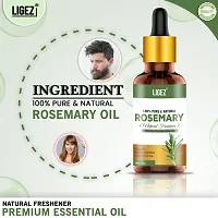 Ligez Rosemary Essential oil - (10 ml)-thumb1