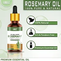 Ligez Rosemary Essential oil - (10 ml)-thumb2