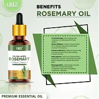 Ligez Rosemary Essential oil - (10 ml)-thumb3