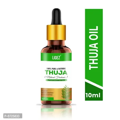 Ligez Thuja Wood Essential Oil, 100% Pure, Natural  Undiluted (10 ml)