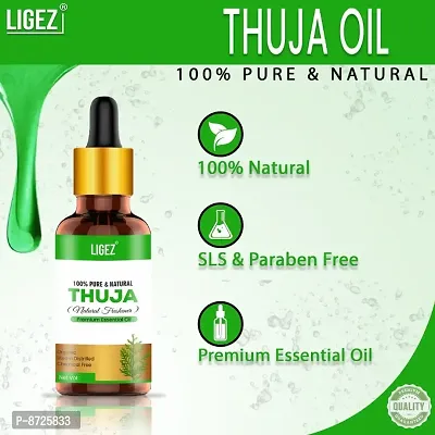Ligez Thuja Wood Essential Oil, 100% Pure, Natural  Undiluted (10 ml)-thumb2