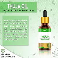 Ligez Thuja Wood Essential Oil, 100% Pure, Natural  Undiluted (10 ml)-thumb3
