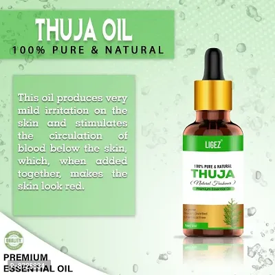 Ligez Pure Thuja Essential Oil (15 ml)-thumb4