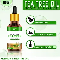 Ligez Pure Natural Tea Tree Essential Oil (15 ml- (Pack of 2)-thumb2