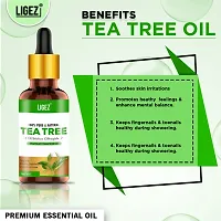 Ligez Pure Natural Tea Tree Essential Oil (15 ml- (Pack of 2)-thumb3