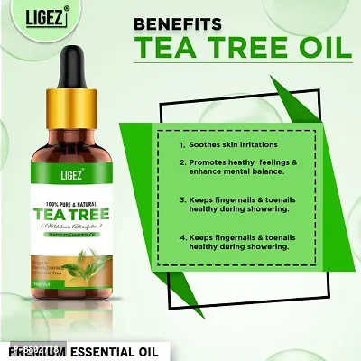 Ligez Pure Natural Tea Tree Essential Oil (15 ml- (Pack of 2)-thumb4