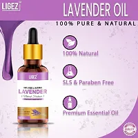 Ligez Lavender Essential Oil (For Aromatheraphy  Massage- (10 ml- (Pack of 2)-thumb3