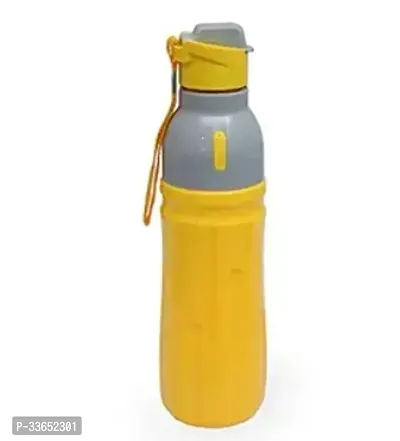 Stylish Water Bottle