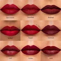 Lipstick Multicolor set of 12 Liquid Lipstick Kiss proof (Matte)-thumb4