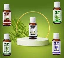Essential Oil For Home fragrance Lavender, Rosemary, Jasmine, Lem-thumb3
