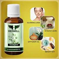 Eucalyptus oil essential oil 100% Natural and Pure Nilgiri oil eucalyptus aroma essential oil-thumb1