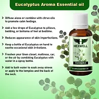 Eucalyptus oil essential oil 100% Natural and Pure Nilgiri oil eucalyptus aroma essential oil-thumb2