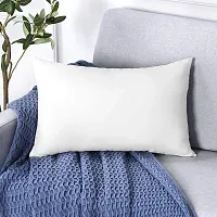 OTOSTAR Premium Throw Pillow Insert Decorative Sofa Fluffy Plump Pillow Stuffer Cushion Inner Pillow Insert for Decorative Cushion Sofa Bed Couch Stuffer Pillow 12 x 20 Inch (1 Pack,12''x20'')-thumb2