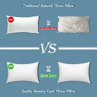 AM AEROMAX 12?20 Premium Hypoallergenic Memory Foam Lumbar Throw Pillow Insert Sham Rectangle for Decorative Cushion Bed Couch Sofa-thumb3