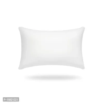 AM AEROMAX 12?20 Premium Hypoallergenic Memory Foam Lumbar Throw Pillow Insert Sham Rectangle for Decorative Cushion Bed Couch Sofa-thumb2