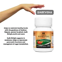 DIABEVIDHA CAPSULE PACK OF 2-thumb1