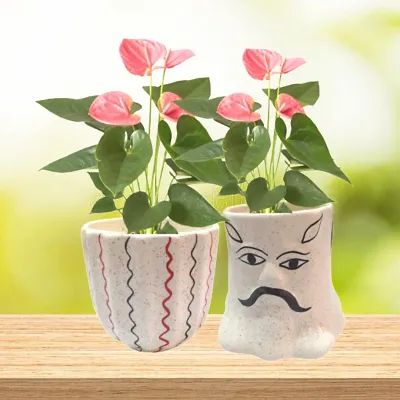 Kreative Homes Ceramic Planter Flower Pot | Plant Container | Gamla | Classy Planter Pot Ceramic Planters Pot for Indoor Outdoor Home Garden Office Balcony Decor Pottery (Pack of 2)