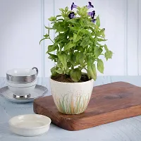 Kraftlik Handicrafts Planter with Bottom Tray | Ceramic Table Top Planter Pot with Drainage Plate | Flower Pot | Unique Quality for Home D?cor Center Table Side Corners Decoration Party Centerpieces-thumb4