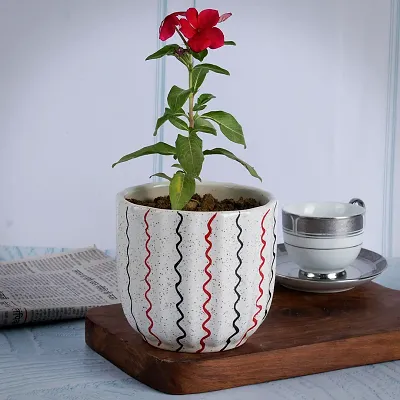 Kraftlik Handicrafts Ceramic Planter Gamla Shape Flower Pot | Plant Container | Gamla | Classy Pot Planters for Indoor Outdoor Home Garden Decor Balcony | Line Design Container | Decorative Pottery
