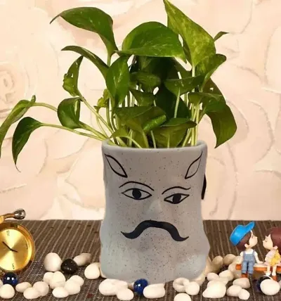 Kraftlik Handicrafts Ceramic Plant Container | Flower Pot | Gamla | Planter Pot Classy Pot for Indoor Outdoor Home, Garden Office Decor Balcony Flower Face Shape Design Container