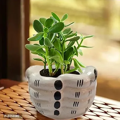 Kraftlik Handicrafts Ceramic Plant Container | Flower Pot | Gamla | Planter Pot Classy Ceramic Pot for Indoor Outdoor Home, Garden Decor Balcony Flower Hand Shape-thumb0