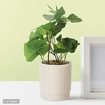 New Natural Looking Indoor Artificial Plants With Pot For Home Decor