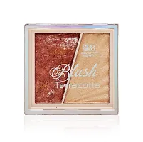 Beauty Berry || Blush Terracotta || Professional || Make up blusher Palette (004)-thumb1