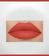 2-In-1 Long Lasting Matte Lipstick (Spicy)-thumb1