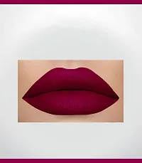 COLORS QUEEN Lip Matte 2 IN 1 Long Lasting Matte  Gloss Lipstick (Pure Maroon 41, 13 ml)-thumb1