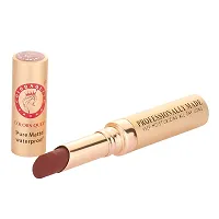 Colors Queen Beauty Lip Pure Matte Lipstick (Coffee, 4g )-thumb3