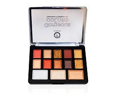 Colors Queen Gorgeous Colors Eyeshadow  High Lighter Mix (13 Shades) Palette For Professional Make Up-thumb1