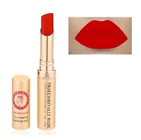 Colors Queen Beauty Lips Non Transfer Velvet Texture Lipstick (Rich Orange)-thumb1