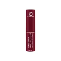 Modern Matte Lipstick for Women (Wild Maroon)-thumb1