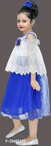 Fabulous Blue Net Printed Dress For Girls-thumb2