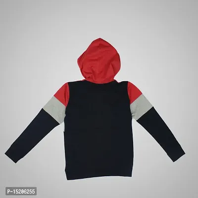 Ayvina Full Sleeve Hooded Sweatshirts/Hoodies for Kids Boys and Girls Pack of 2-thumb3