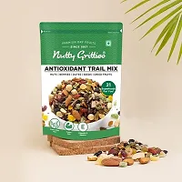 Nutty Gritties Antioxidant Trail Mix- 400 Grams, Pack Of 2-thumb2