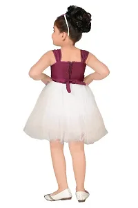 WILD EMPIRE Baby Girls Above Knee Festive/Wedding Dress-thumb1