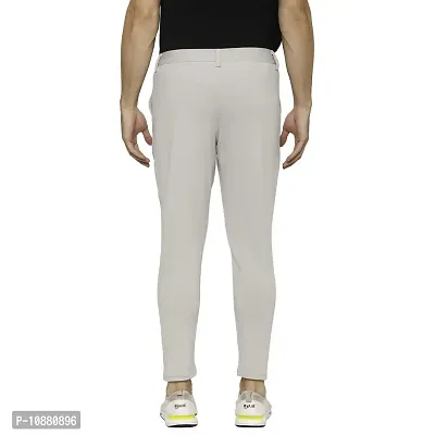 Flynoff Men's Slim Fit Polyester Blend Pant (FNF0117-SLV-M_Silver_30)-thumb4