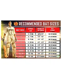 GOSAI Plastic Cricket Bat Full Size-8/PVC Plastic BAT (750-800 g)Age Group 15+-thumb2