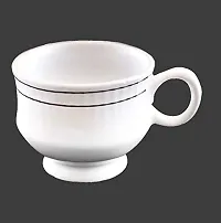 Prop It Up Premium GoldenLine Fine Tableware Bone China Set of 6 Tea Cups/Coffee Mugs for Home Office (140 ml) 13-thumb2