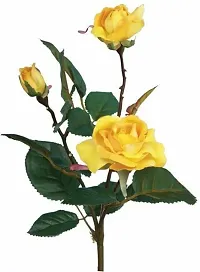 Yellow Rose Plant AG004-thumb2