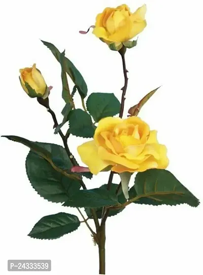 Yellow Rose Plant AG004-thumb3