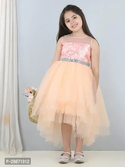 Adorable Net Fit and Flare Dress for Girls