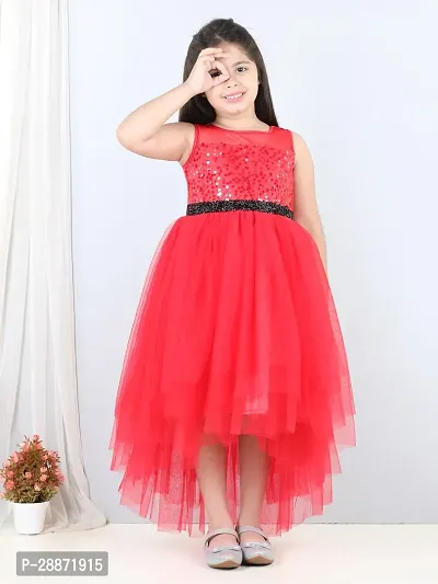 Adorable Net Fit and Flare Dress for Girls