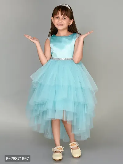 Adorable Net Fit and Flare Dress for Girls