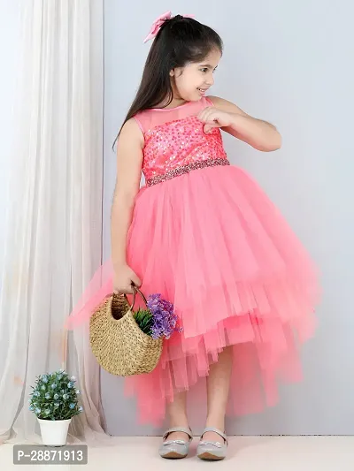 Adorable Net Fit and Flare Dress for Girls