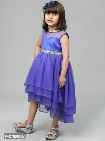 Classic Net Dress for Kids Girl-thumb5